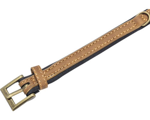 Collier pour chien en cuir avec boucle en métal