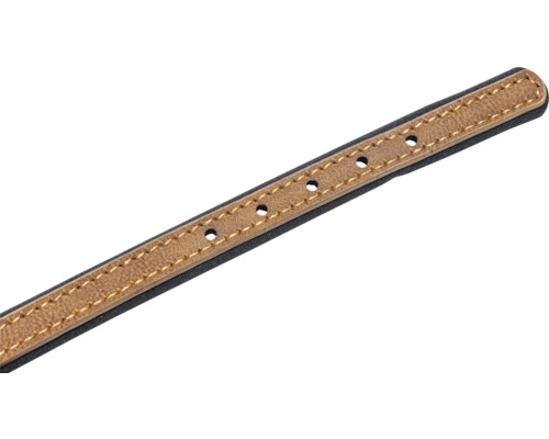 Collier pour chien en cuir avec trous de réglage de la taille