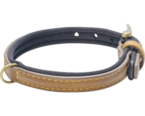 Collier pour chien en cuir avec boucle et anneau en D