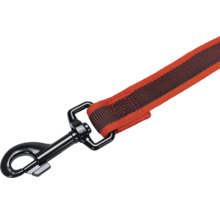 Laisse pour chien avec mousqueton