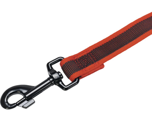 Laisse pour chien avec mousqueton