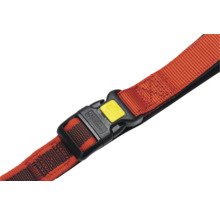 Collier pour chien avec fermeture