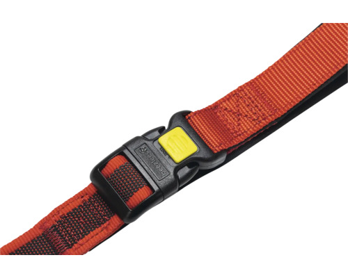 Collier pour chien avec fermeture