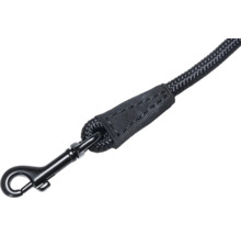 Laisse pour chien avec mousqueton