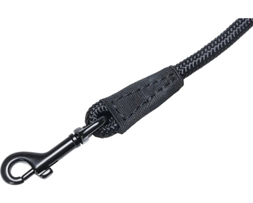 Laisse pour chien avec mousqueton