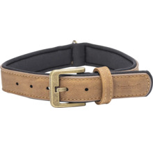 Hundehalsband aus Leder mit Schnalle
