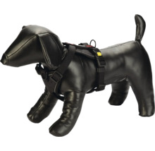 Harnais pour chien sur un mannequin de chien