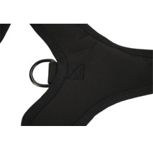 Vue détaillée d'un harnais pour chien noir avec anneau en métal