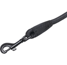 Laisse pour chien avec mousqueton et dragonne
