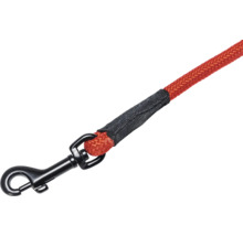 Laisse pour chien rouge avec mousqueton