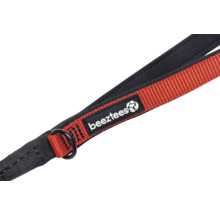 Logo Beetzees sur laisse pour chien