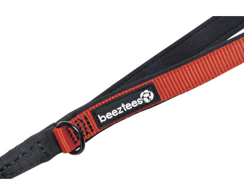 Logo Beetzees sur laisse pour chien