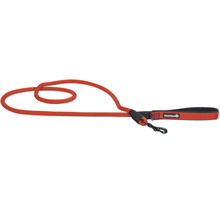 Laisse pour chien orange avec mousqueton et logo Beetztees