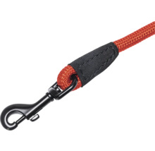 Laisse pour chien avec mousqueton