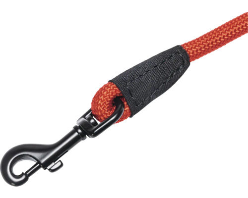 Laisse pour chien avec mousqueton