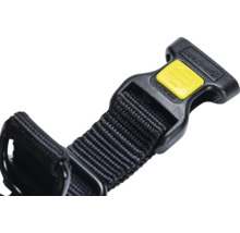 Gros plan d'un collier pour chien avec fermeture