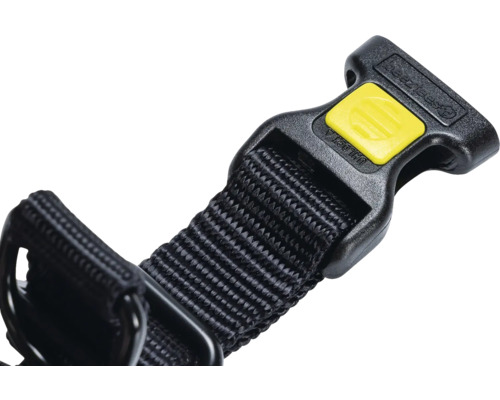 Gros plan d'un collier pour chien avec fermeture