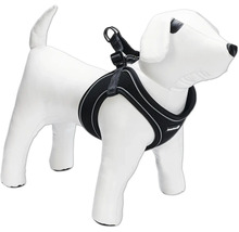 Harnais pour chien sur un modèle de chien