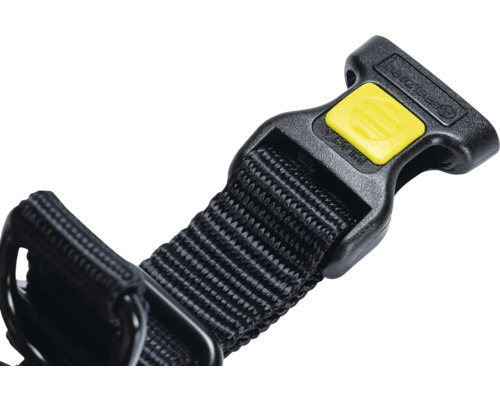 Gros plan d'un collier pour chien avec fermeture et sangle