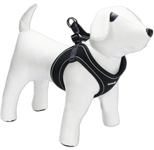 Harnais pour chien sur modèle de chien