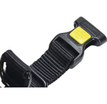 Vue détaillée d'un collier pour chien avec fermeture