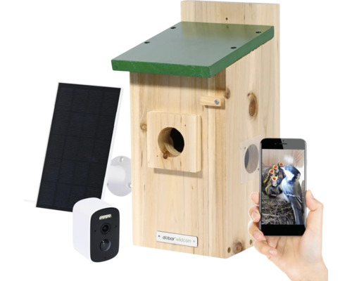 Vogelhaus mit Solarpanel, Kamera und Smartphone-Ansicht der Vogelfamilie