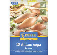 Kiepenkerl Longor Schalotten zum Anpflanzen, 10 Stück