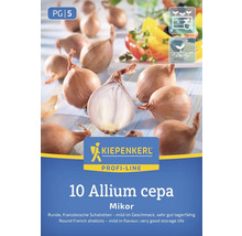 Kiepenkerl Profi-Line 10 Allium cepa Mikor Schalotten Set