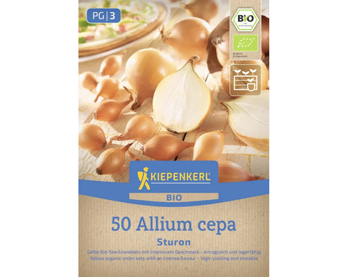 Kiepenkerl Bio Saatgutpackung mit 50 gelben Allium cepa Sturon Zwiebeln
