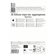 Verpackung der Sorte Red Sun von Allium cepa var. aggregatum mit Informationen zu Standort, Pflanzung und Kulturmaterial