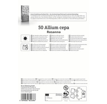 Verpackung mit 50 Allium cepa Rosanna Blumenzwiebeln