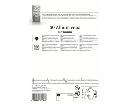 Verpackung mit 50 Allium cepa Rosanna Blumenzwiebeln