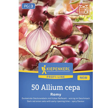 50 rote Zwiebeln der Sorte Allium cepa Romy