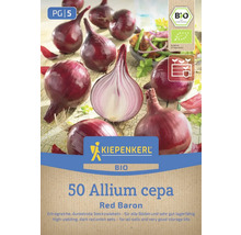 Kiepenkerl Red Baron Bio Steckzwiebeln, 50 Stück