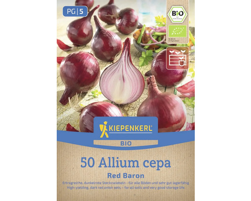 Kiepenkerl Red Baron Bio Steckzwiebeln, 50 Stück