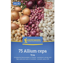 Kiepenkerl Allium cepa Trio Zwiebeln Set