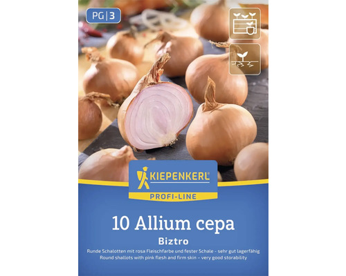 Schalotten-Setzlinge der Sorte Biztro, 10 Stück, Allium cepa, Kiepenkerl Logo