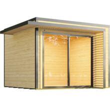 Abri de jardin avec porte coulissante et façade en bois