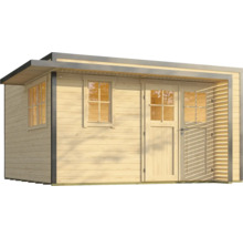 Abri de jardin en bois avec fenêtre et porte