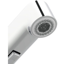 Pomme de douche pour robinet de cuisine avec régulateur de jet