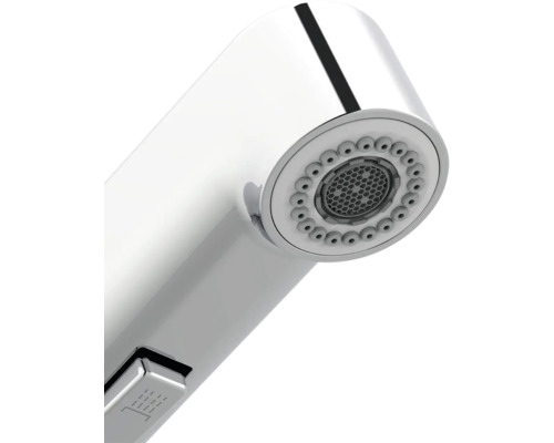 Pomme de douche pour robinet de cuisine avec régulateur de jet