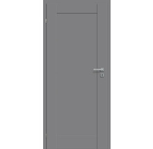 Graue Innentür mit Beschlägen