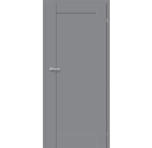 Graue Innentür mit Türgriff