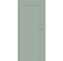 Porte intérieure simple avec poignée de porte