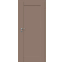 Porte intérieure marron avec poignée de porte argentée