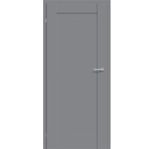 Graue Innentür mit Drückergarnitur