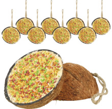 Kokosnusshälfte gefüllt mit Vogelfutter und hängende Futterdekorationen für Vögel