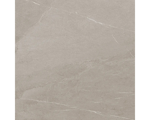 MIRAVA Feinsteinzeug Wand- und Bodenfliese Wandfliese Narvik 60 cm x 60 cm x 8,5 mm matt rektifiziert Fliese mit Marmorierung