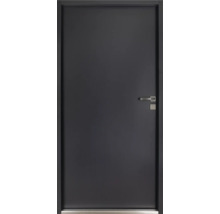 Schlichte Innentür mit Türgriff