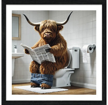 Illustration d'une vache Highland écossaise assise sur des toilettes en train de lire un journal